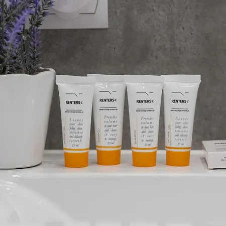 Subtle Colors In With Furnished Balcony By Renters Apartman *