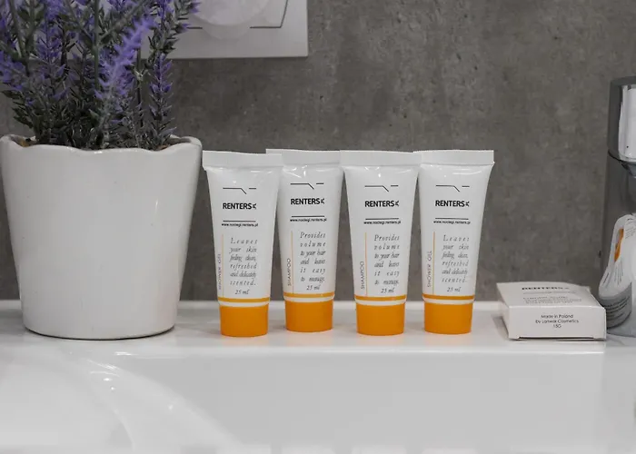 Subtle Colors In With Furnished Balcony By Renters Apartman *